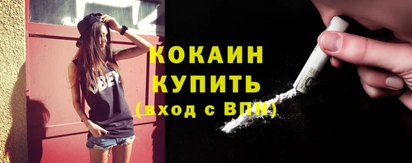 ECSTASY Сосновка