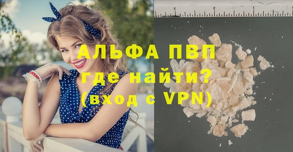 дурь Бородино