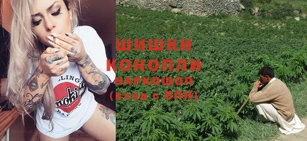 дурь Бородино